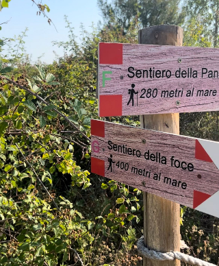 San Benedetto - Malore mentre passeggia nella Riserva Sentina, muore 63enne